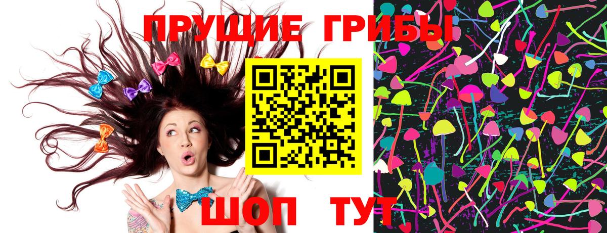 Кузнецк  Псилоцибиновые грибы Psilocybine cubensis  Вход с VPN 